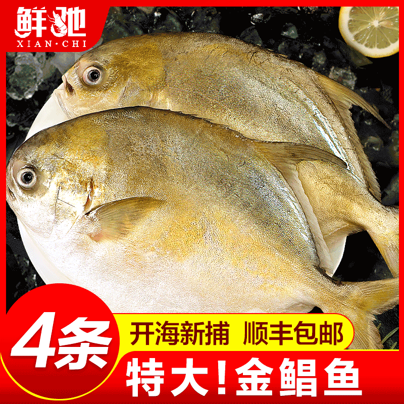 顺丰不打烊特大金鲳鱼4条出口级