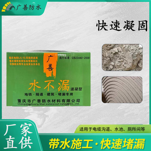 广善速凝型水不漏带水堵漏分钟止水工程建筑管道周边屋顶防水堵漏
