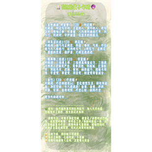 witch green 第一批镇店四重奏 天然植物草药配方大豆蜡