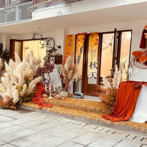 秋日主题氛围芦苇枫叶装饰造景