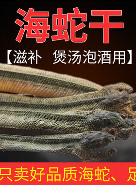 海蛇干货 泡酒料煲汤炖汤滋补干海蛇海产品泰蛇干药材大海蛇干