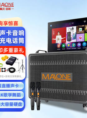 曼龙（MALONE）广场舞音响带显示屏户外网红直播唱k歌专用家用K歌
