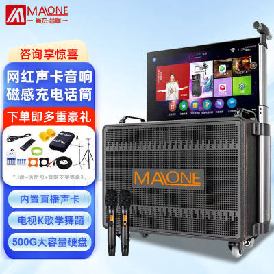 曼龙（MALONE）广场舞音响带显示屏户外网红直播唱k歌专用家用K歌