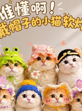 秋冬季猫咪狗狗搞笑可爱的帽子