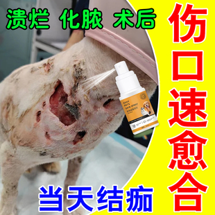 狗狗伤口愈合药宠物猫咪受伤术后外伤化脓溃烂皮肤感染速合喷雾剂
