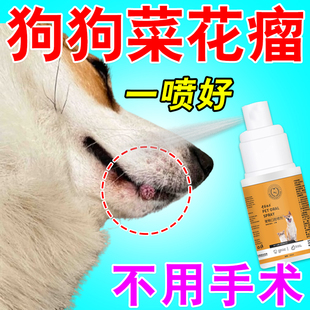 狗狗菜花瘤药宠物猫口腔发炎嘴里长肉球疙瘩多发性乳头状瘤消瘤喷