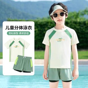 套装 法国BERYDIA儿童泳衣男孩2026新款 分体速干游泳衣男童泳裤