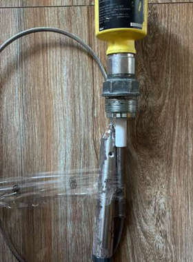 议价VEGACAP65， VEGA威格雷达电容液位计，型号：CP