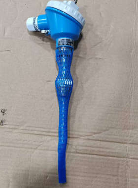 议价E+H温度传感器TM501-B113C11B1BC2A2 0