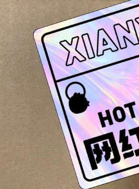 议价商品Honigmann TS 621 测量放大器议价W