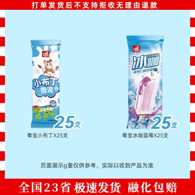 50支粤宝小布丁老冰棍叻柠冰夏恋情芝芝脆皮西瓜恋乳凤梨撞奶雪糕