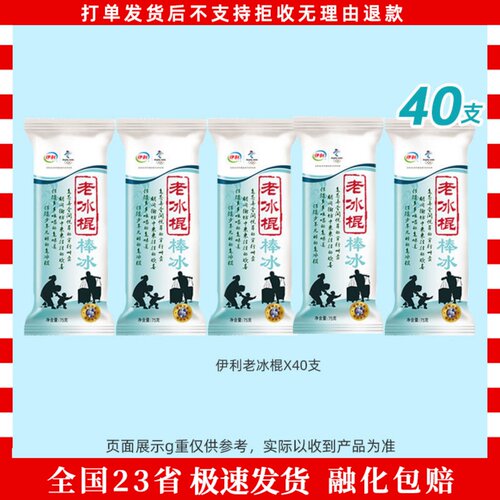 100支伊利老冰棍棒冰小布丁雪糕