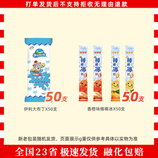 100支伊利大布丁小布丁老冰棍红绿豆苦咖啡搭子方糕冰淇淋家庭装