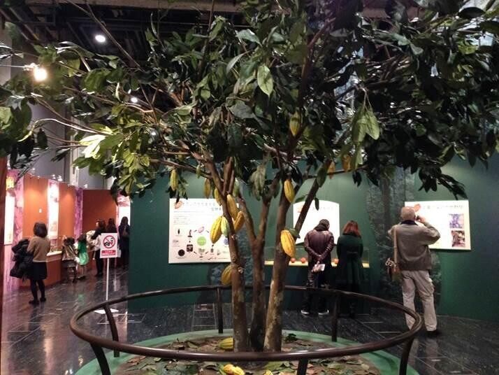 仿真落地可可树   室外仿真大型果树   diy创意仿真产品植物