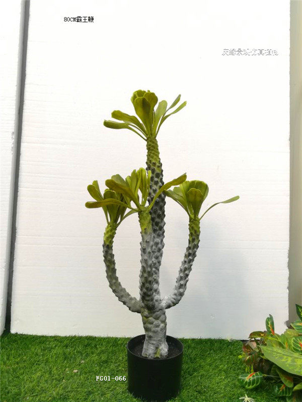 1仿真霸王鞭85cm80cm巴西龙骨样板间室内现代简约空间装饰摆设