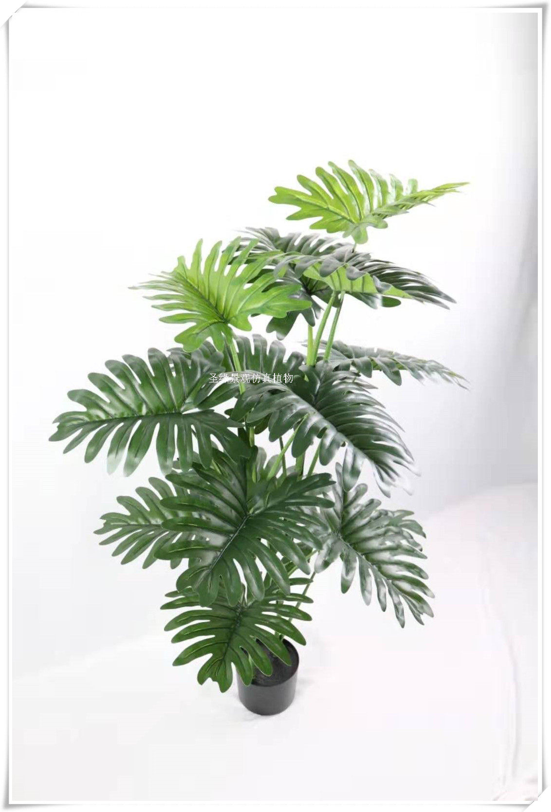 仿真春芋15叶120cm双杆春芋盆栽春芋盆景盆栽仿真春芋花草假植物