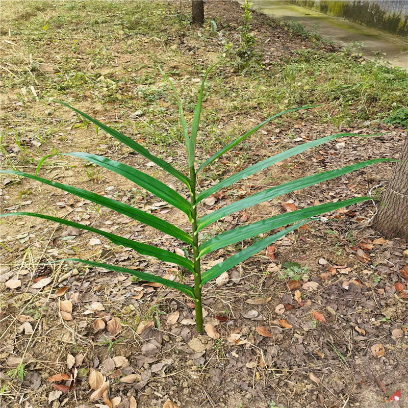 仿真姜叶植物姜客厅商场民宿室内外餐桌仿真装饰绿植叶子