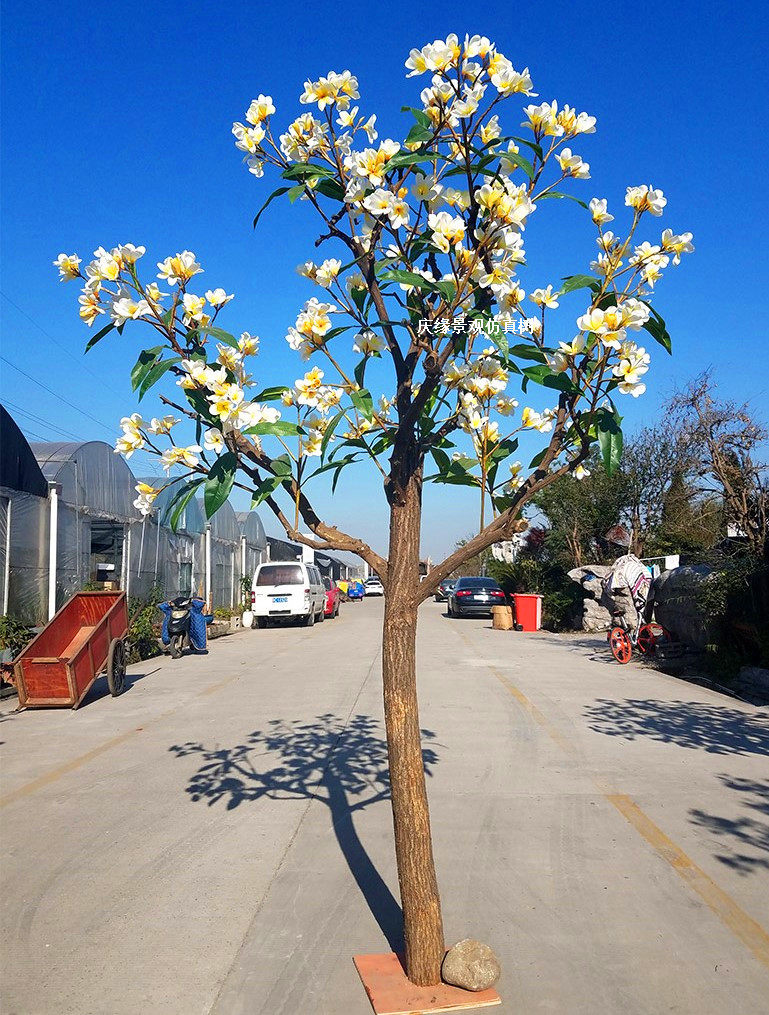 1仿真鸡蛋花树人造假鸡蛋花树舞台造景拍摄道具酒店摆设鸡蛋花树