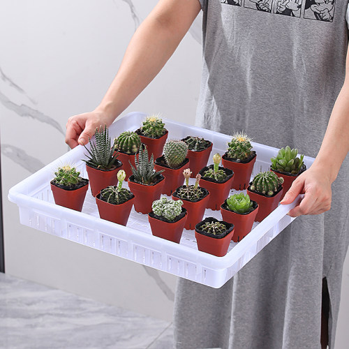 带孔漏水周转盒加厚塑料绿植盆栽盘子豆腐盘压豆腐模具白色筐框