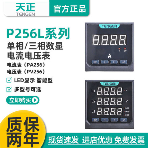天正电流表电压表P256L