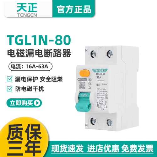 天正TGL1N-80电磁漏电断路器