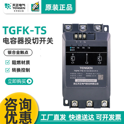 天正TGFK-TS电容器复合开关