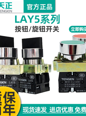 TENGEN天正 LAY5-BD21 BD25 BD33 BG21旋钮开关NP2旋转按钮开关
