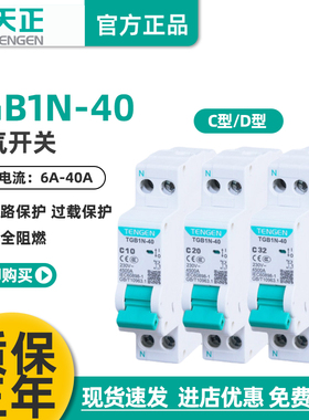 TENGEN天正TGB1N-40双进双出空气开关DPN双线断路器DZ267家用