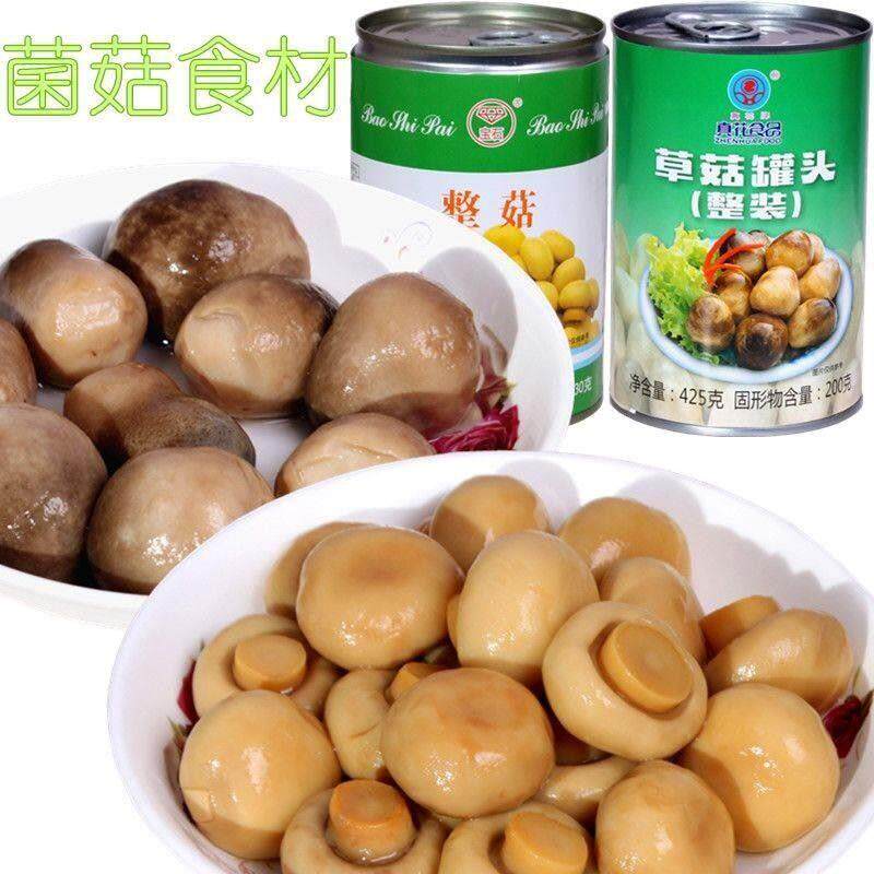 直供农科院正宗口蘑草菇蘑菇罐头炒菜煲汤沙拉凉拌无防腐汤汁可食