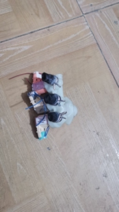 伊莱克斯洗衣机进水阀EWW12746 EWW14912 EWW12732三头电磁阀