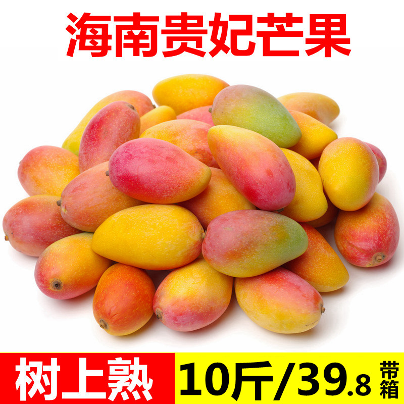 【树上熟】海南贵妃芒果新鲜10斤应季水果热带当季整箱小红金龙