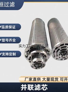 定制SDK-L10X70C小机润滑油滤网,LY-48/25W汽轮机不锈钢并联滤芯