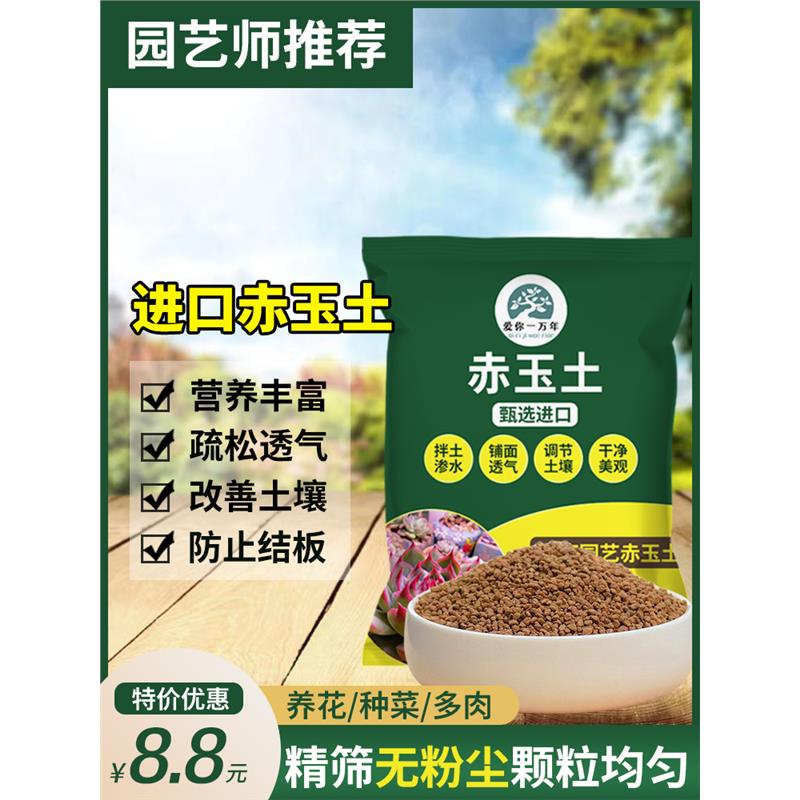 日本进口硬质赤玉土三线小