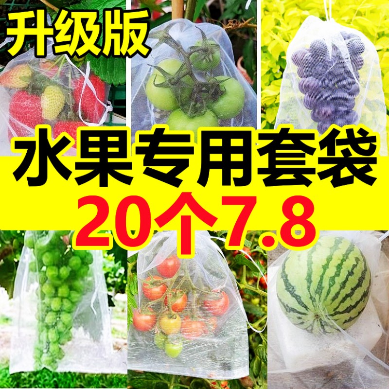 水果套袋防虫鸟网罩葡萄桃