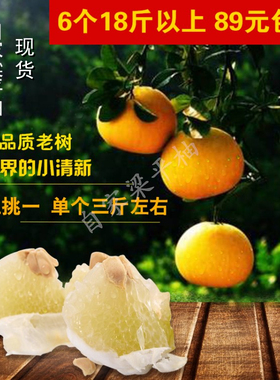 重庆特产正宗梁平柚子梁山柚50年老树农家柚子龙滩柚当季水果包邮