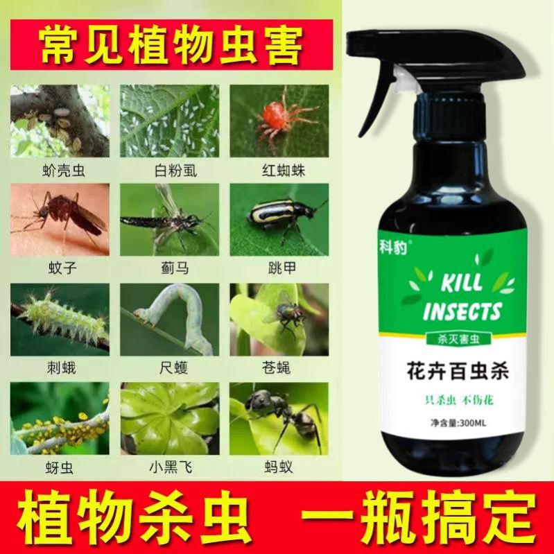 花卉植物通用蚧壳虫蚜虫杀虫剂多肉仙人掌幸福树柑橘树除虫杀虫药
