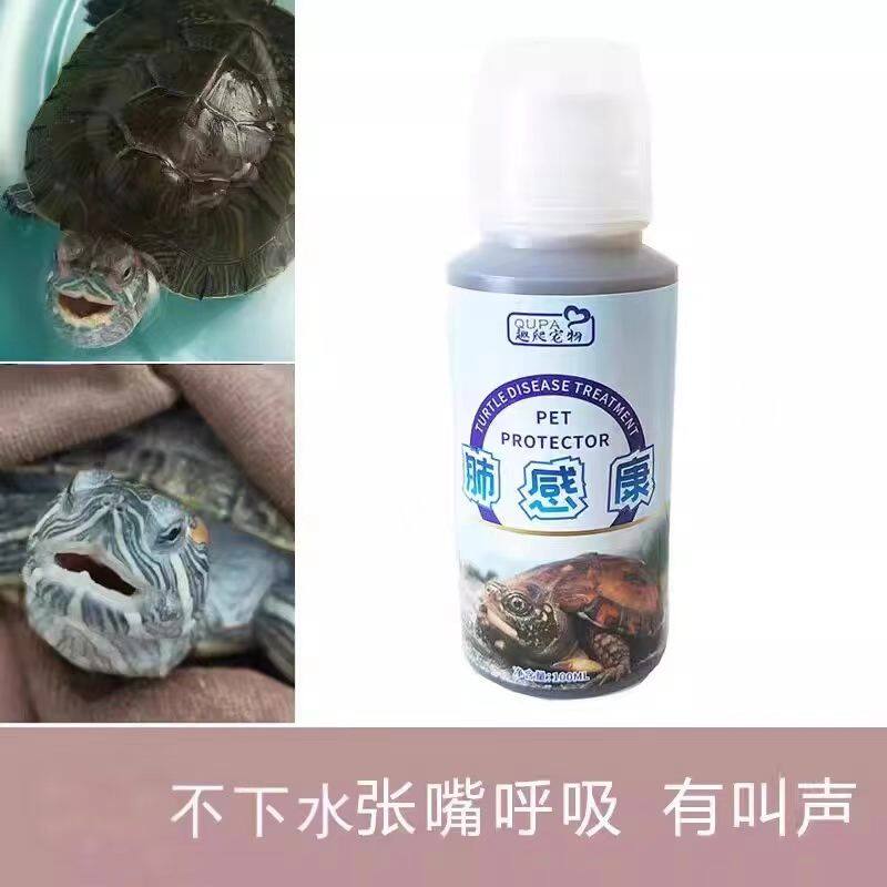 乌龟张嘴呼吸有叫声浮水侧浮不愿下水巴西龟草龟白便绿便腐皮腐甲