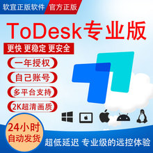 ToDesk 专业版 会员 一年 兑换码 手机 电脑 远程控制软件 激活码