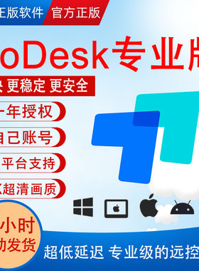 ToDesk 专业版 会员 一年 兑换码 手机 电脑 远程控制软件 激活码