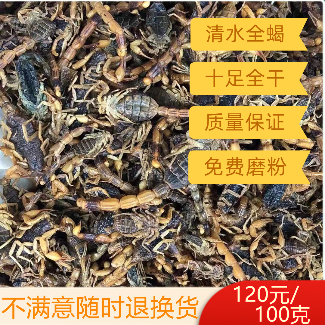 无盐清水全蝎100克 蝎子全虫中药材 整条足干当季新货打粉包邮