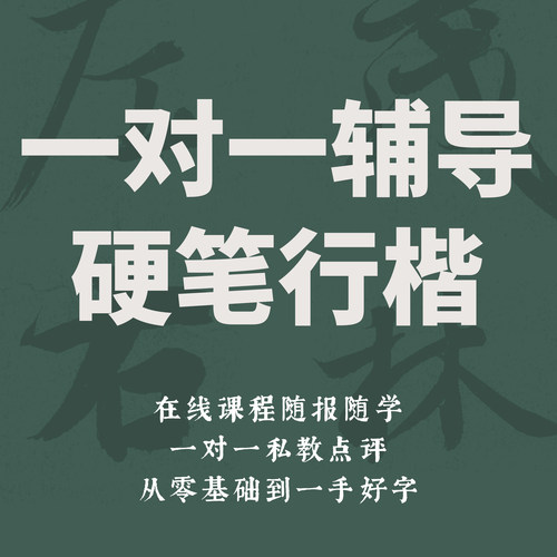一起练字硬笔行楷一对一指导书法课程成人零基础初学入门练字教程