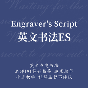一起练字英文书法点尖ES80天成人零基础教学视频网络课程 赵於眠