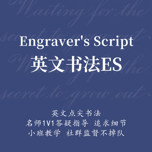 一起练字英文书法点尖ES80天成人零基础教学视频网络课程|赵於眠