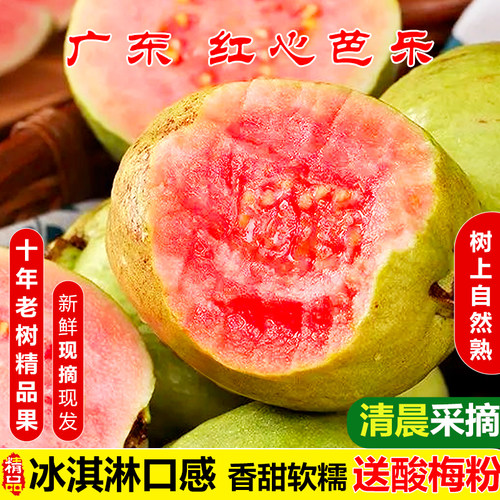 广东正宗红心芭乐软糯现摘现发