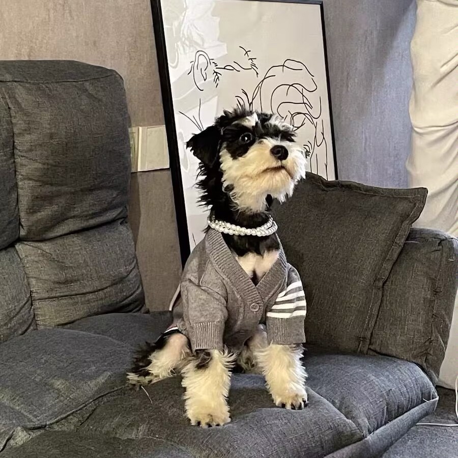 狗狗衣服秋冬装宠物针织毛衣