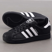 Ji0079/Superstar ⅱ【 та же модель для Дженни】