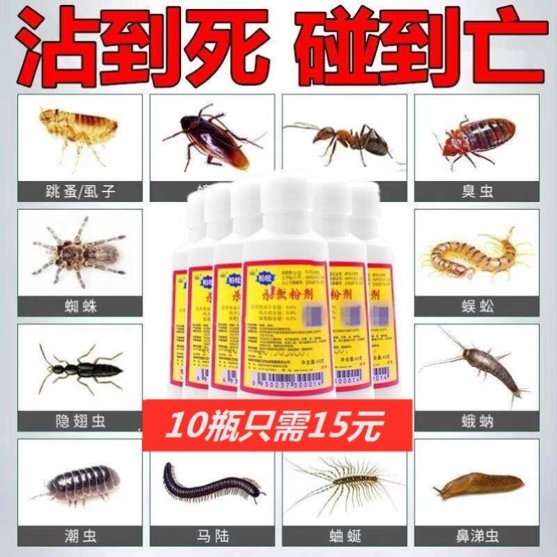 雄黄驱虫杀虫药粉虱子跳蚤蚂蚁蟑螂蝎子杀虫剂露营家用防虫粉10