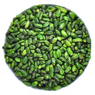 开心果仁  Pistachio Nuts Plain 100g