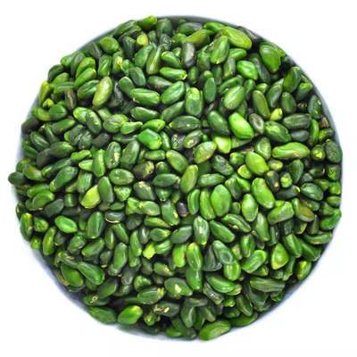 nutsplain100g开心果仁