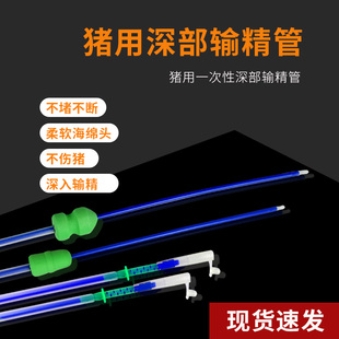 深部输精管猪用输精管一次性深入输精耗材